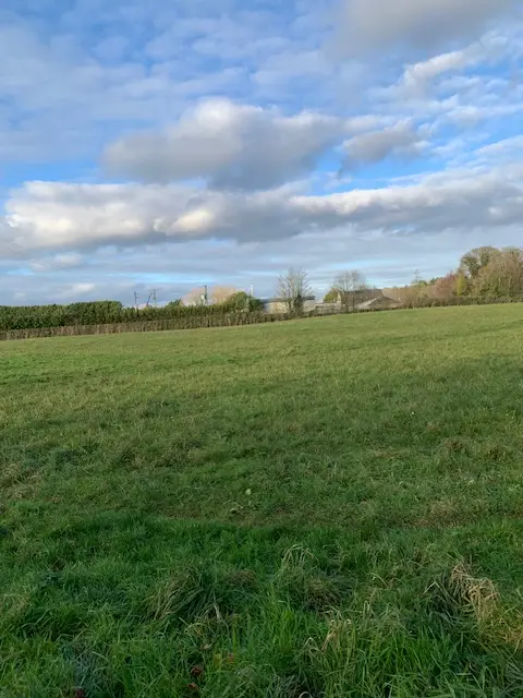 The fields
