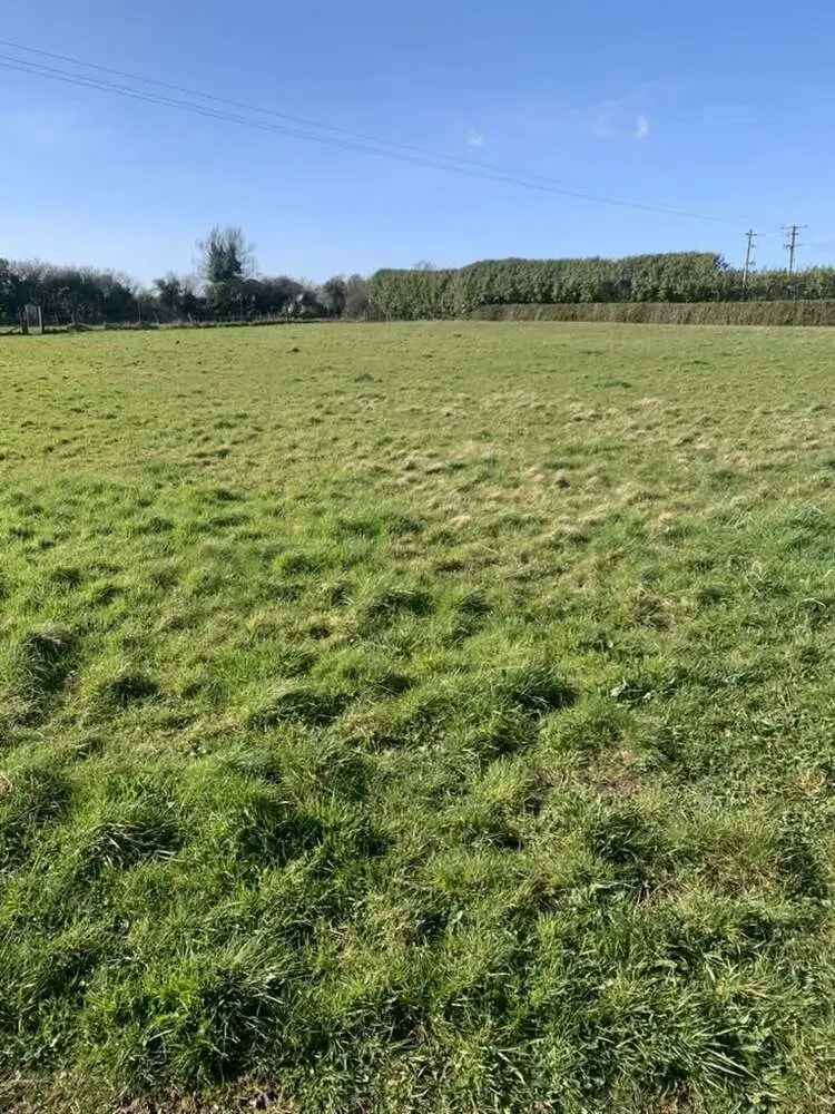 A fenced grass field at Skeldale