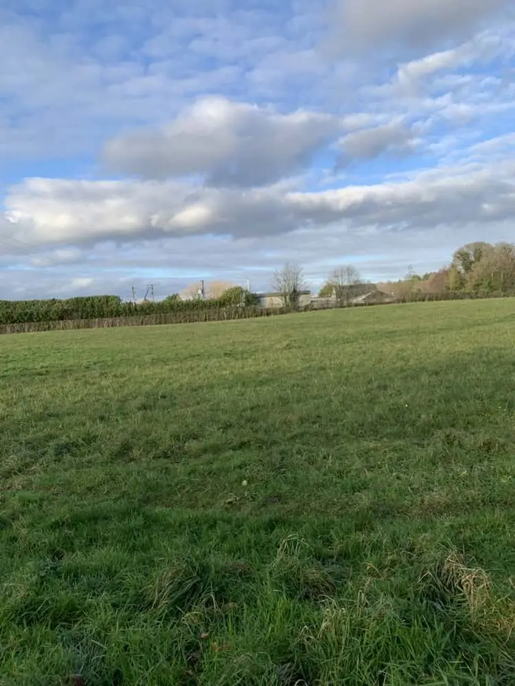 The fields