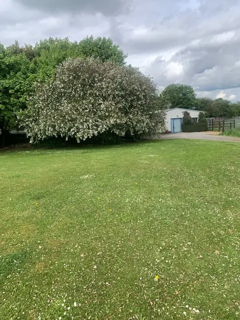 The grounds in blossom